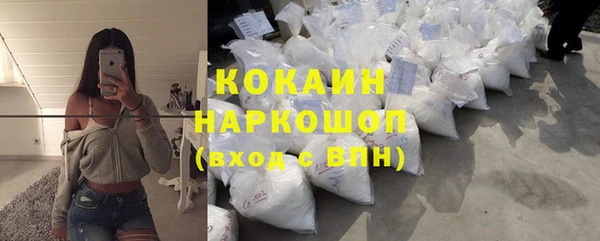 шишки Иннополис