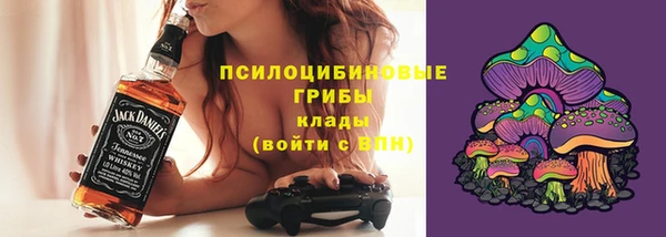 шишки Иннополис