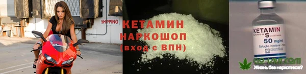 шишки Иннополис