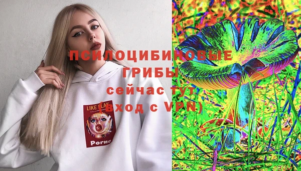 шишки Иннополис