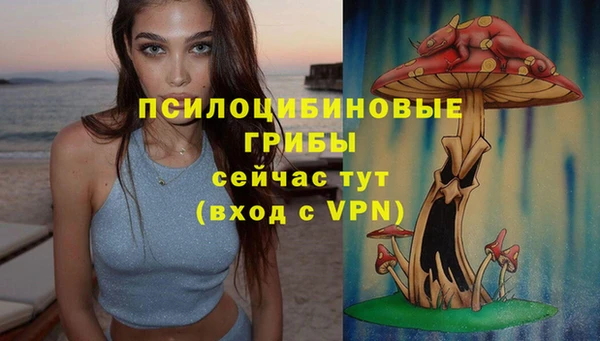 синтетический гашиш Инта