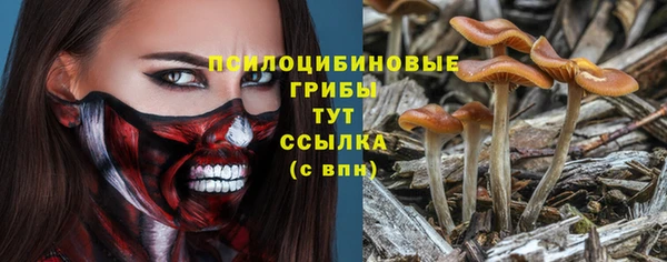 шишки Иннополис