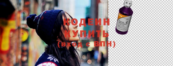 шишки Иннополис