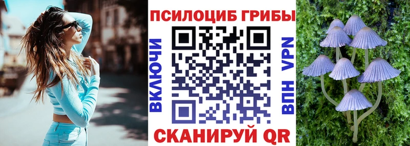 Купить  Кизилюрт  Псилоцибиновые грибы Cubensis 